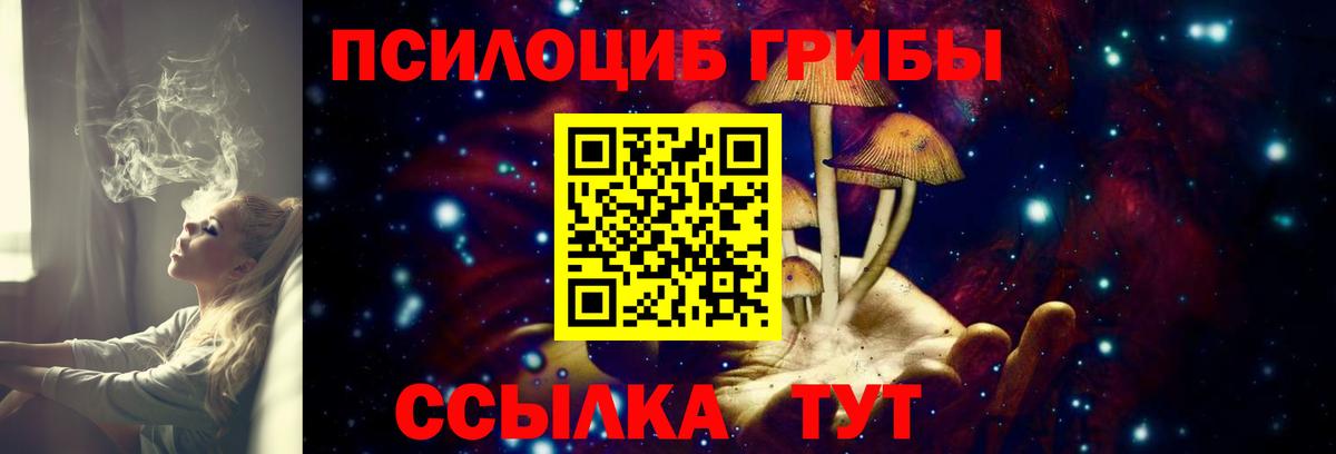 Галлюциногенные грибы Psilocybine cubensis Северобайкальск